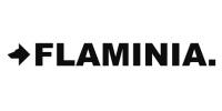 Flaminia logo