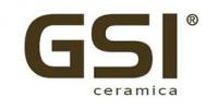 GSI logo